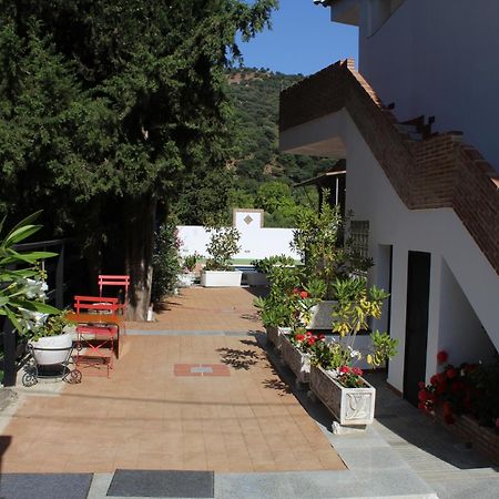 Apartamento Guadiaro 3 Ainhoa Benaojan Luaran gambar